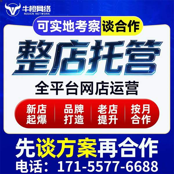 乌海电商代运营